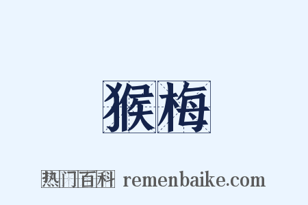 猴梅是什么意思的图片